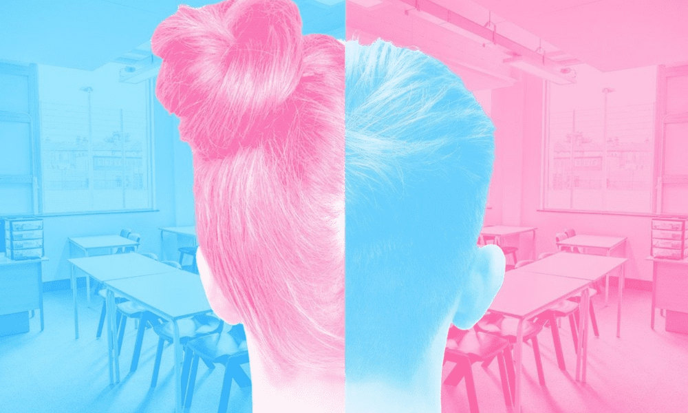 The Telegraph: Children could pick their gender at school under EU proposal